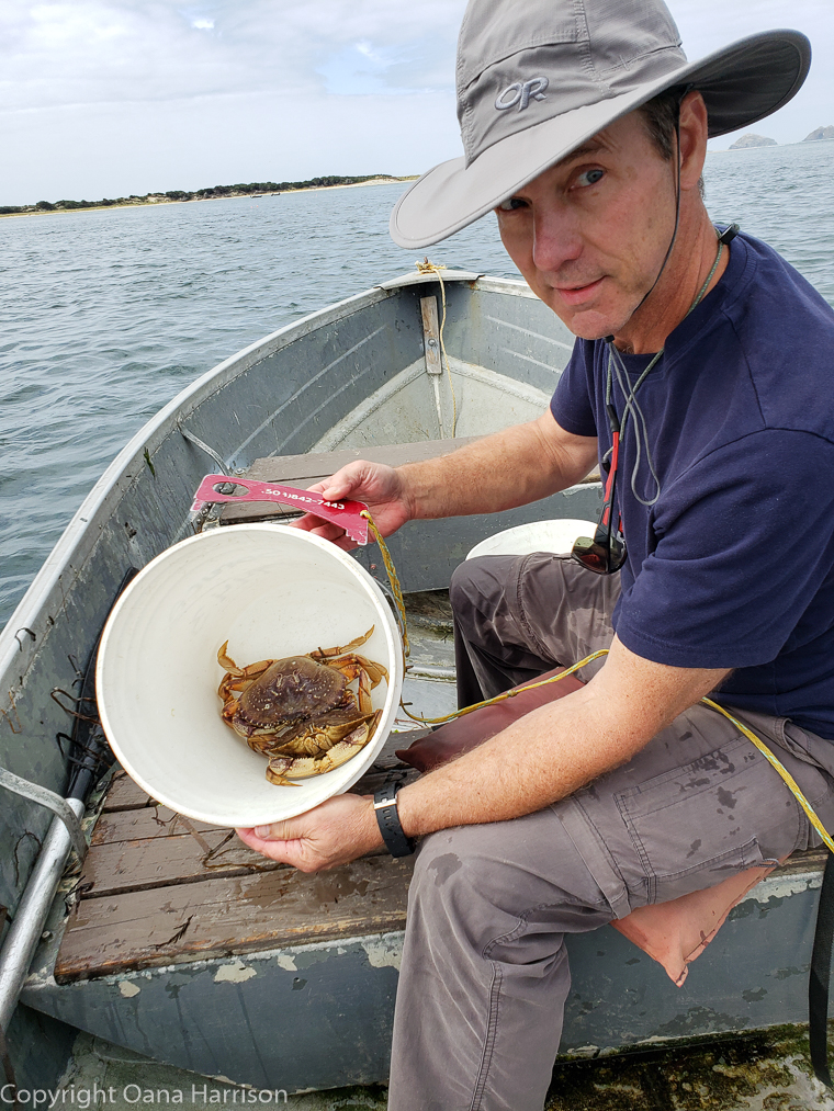 NetartsBayORCrabbing8 Great Escapetations